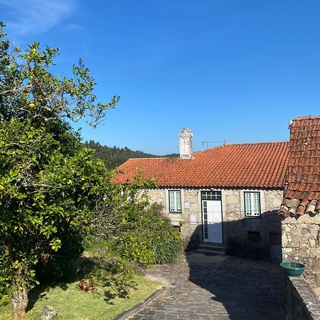 Casa Do Carqueijo Villa Vila Praia de Âncora Dış mekan fotoğraf